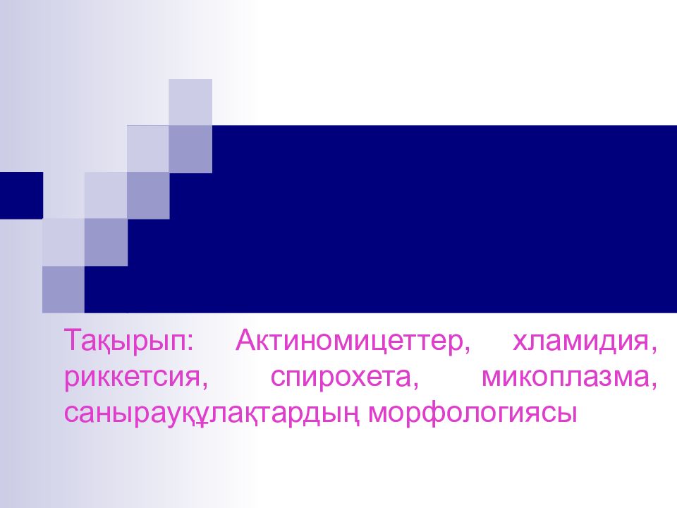 Тақырып: Актиномицеттер, хламидия, риккетсия, спирохета, микоплазма,