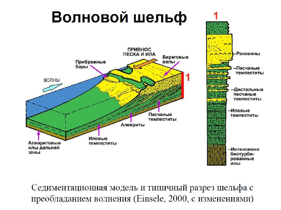 Глубина действовать. Зоны осадконакопления. Отложения зоны шельфа. Морская обстановка осадконакопления. Прибрежно морские обстановки осадконакопления.