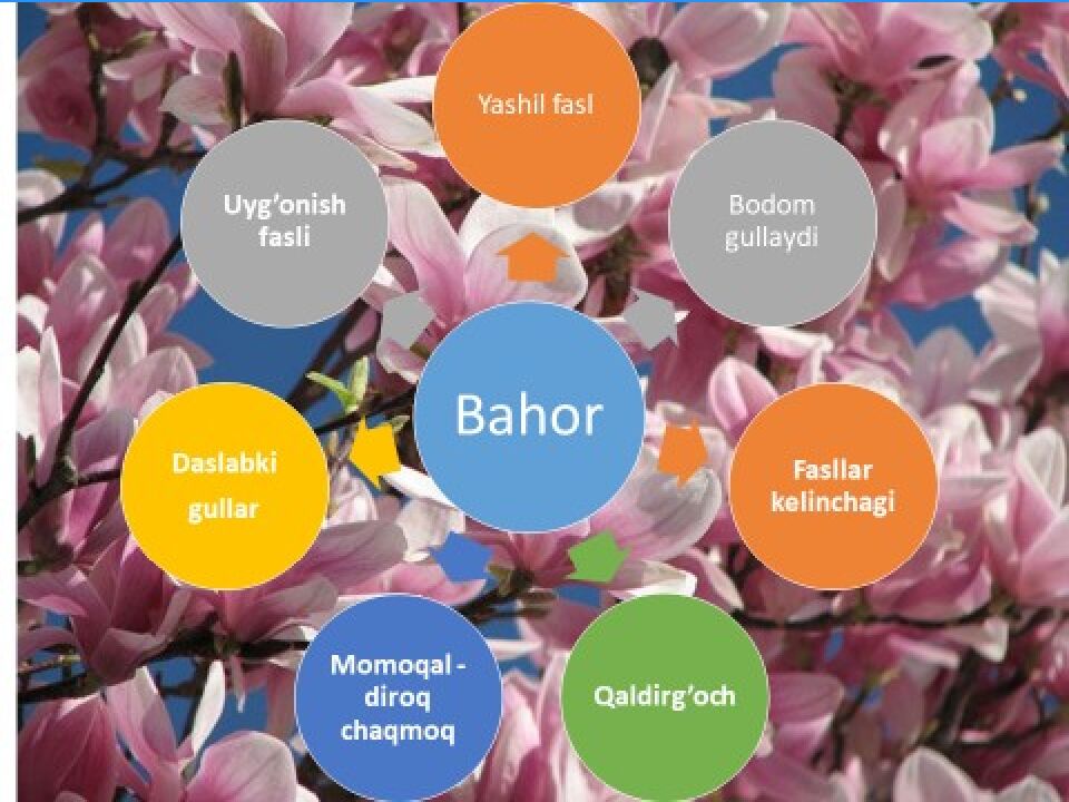 SALOM SENGA GULBAHOR”