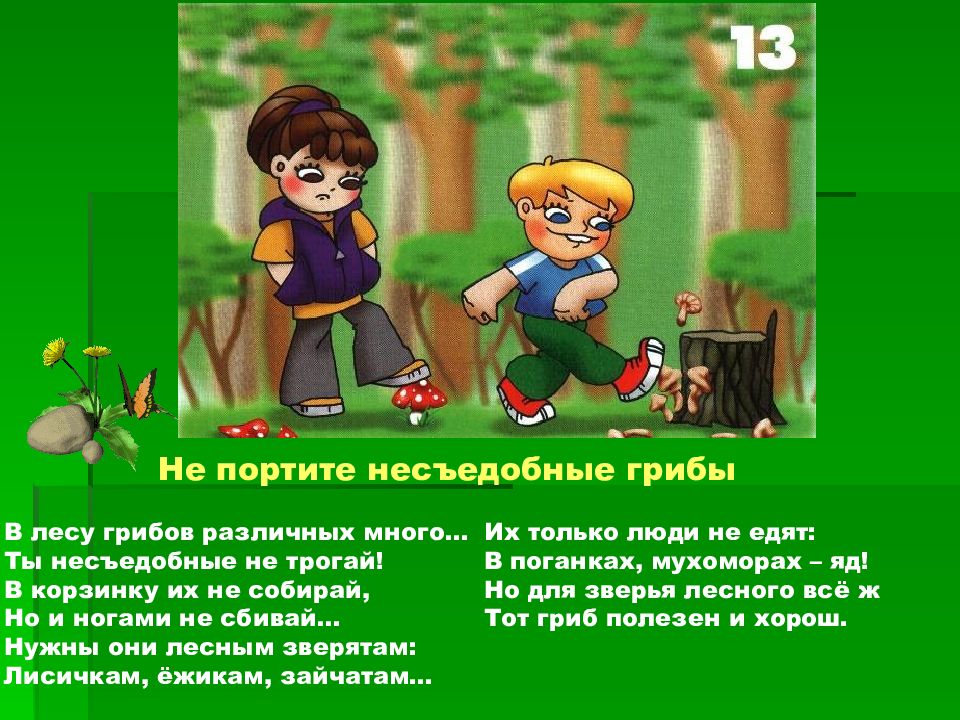 Лес это богатство правила поведения в лесу занятие в старшей группе презентация