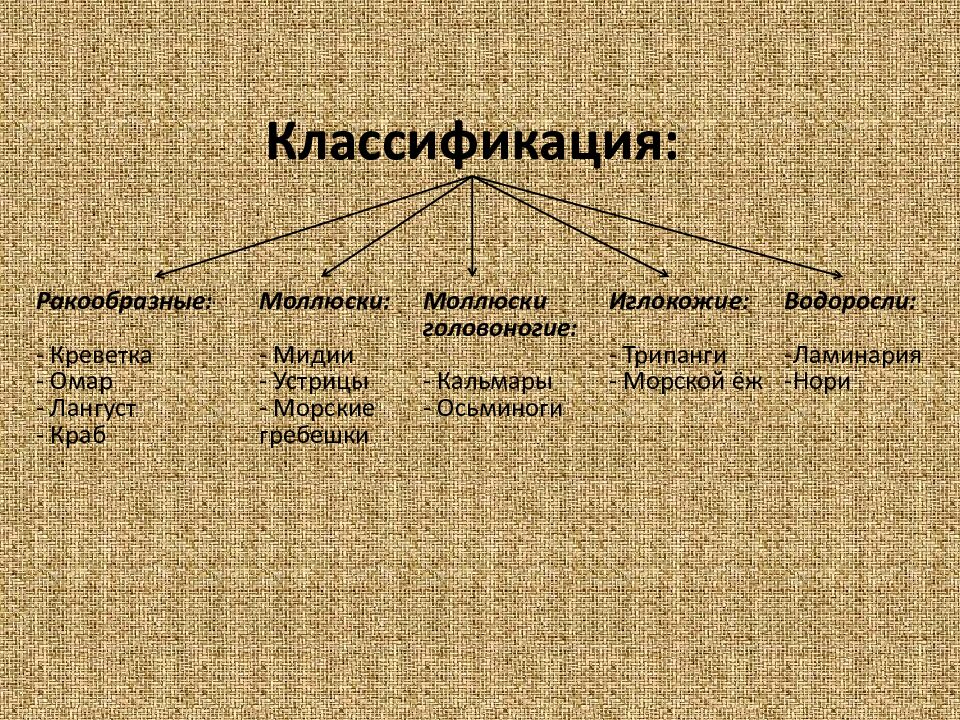 Нерыбные морепродукты. Обработка и подготовка к приготовлению
