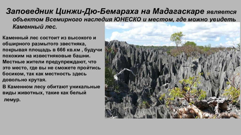 Презентация скульптурный портрет планеты география 5 класс туристический маршрут