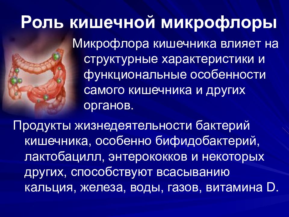 Микробиота кишечника. Микрофлора кишечника. Роль кишечной микрофлоры.