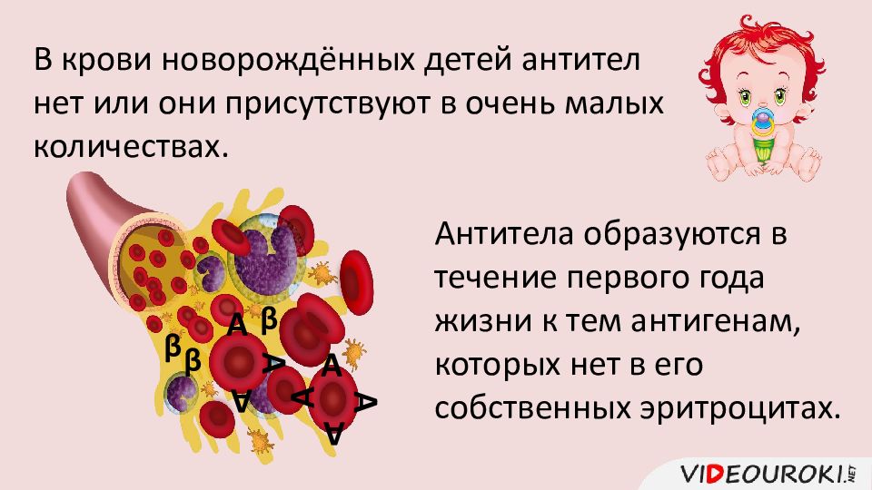 Переливание крови презентация