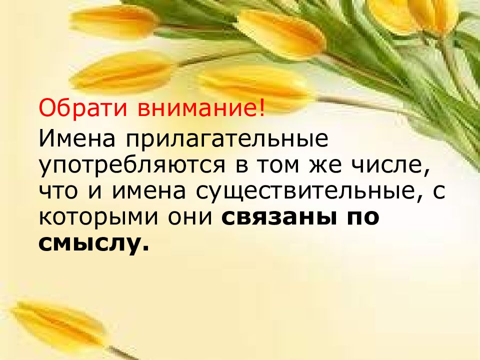 Единственное и множественное число имен прилагательных 2 класс школа россии презентация