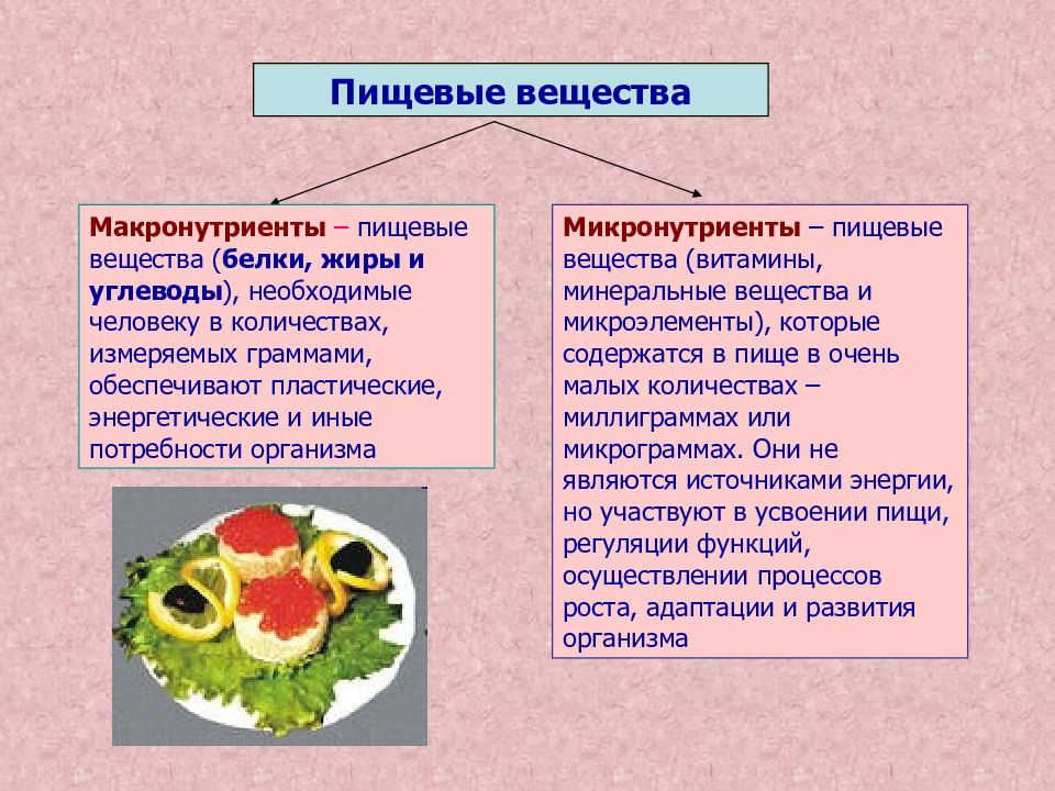 Питательные вещества овощей. Гигиенические основы физиологии и биохимии питания. Пищевые питательные вещества. Значение пищевых веществ.