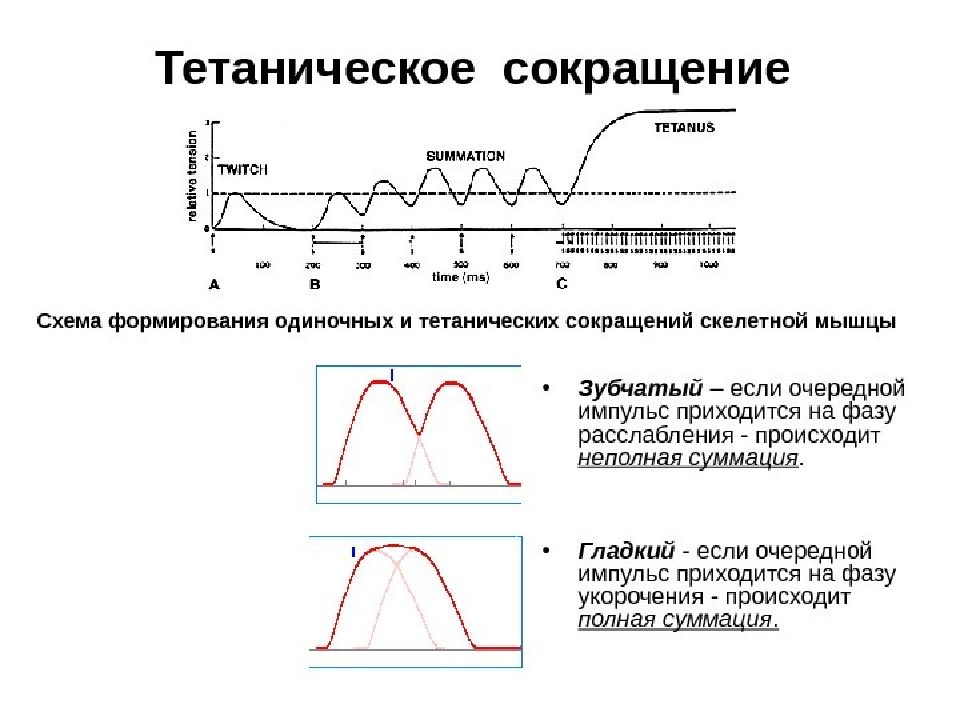 Основывается на разделении сравниваемых изображений на области текстуры края и гладкие участки