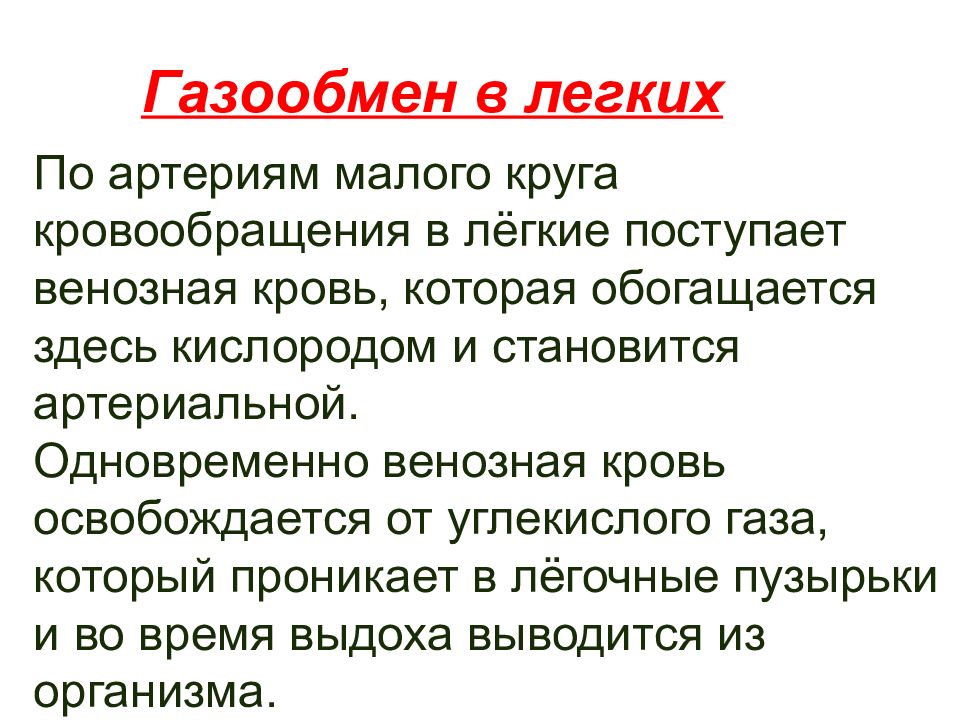 Презентация легкие газообмен в легких и других тканях 8 класс