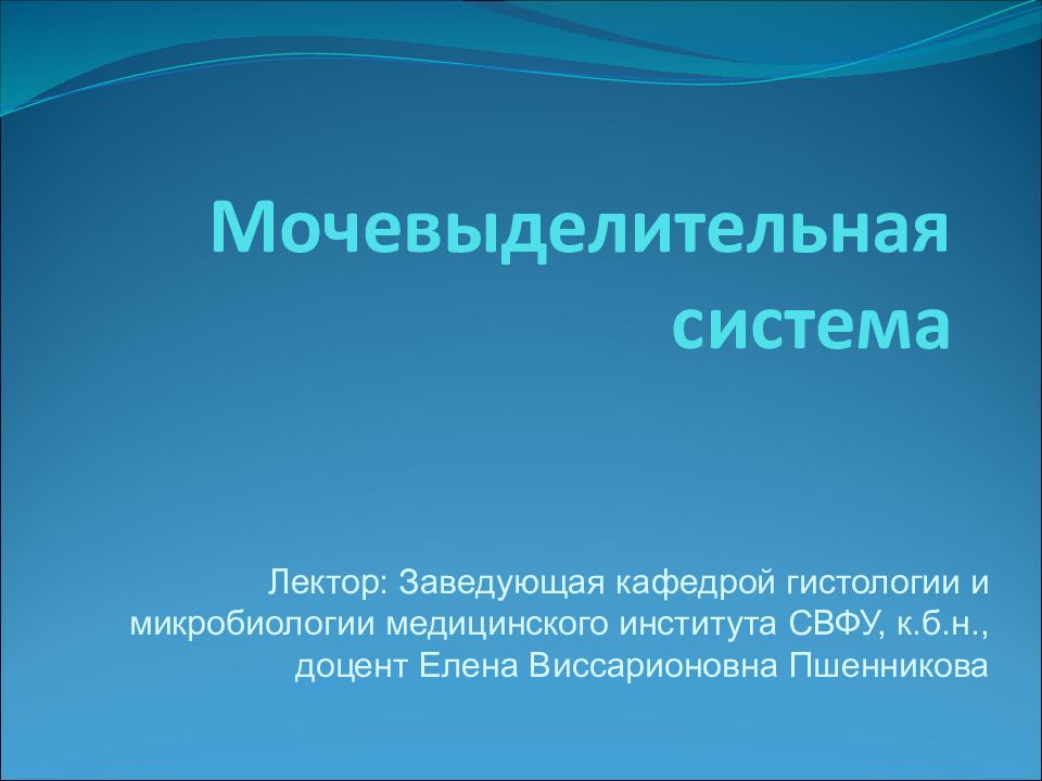 Мочевыделительная система
