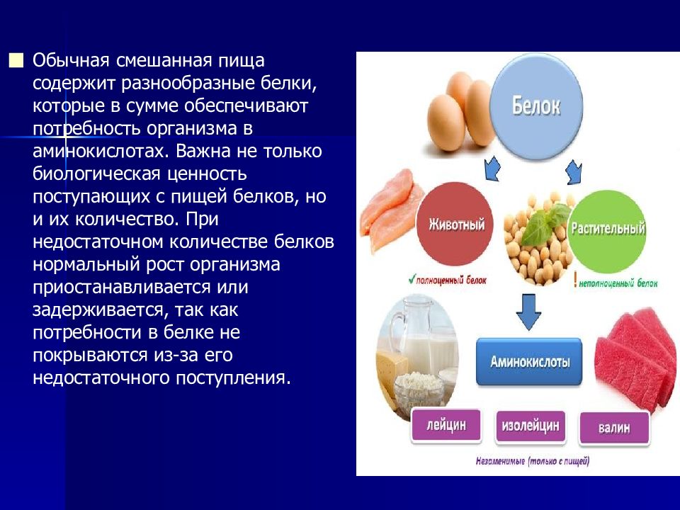 Что значит белок