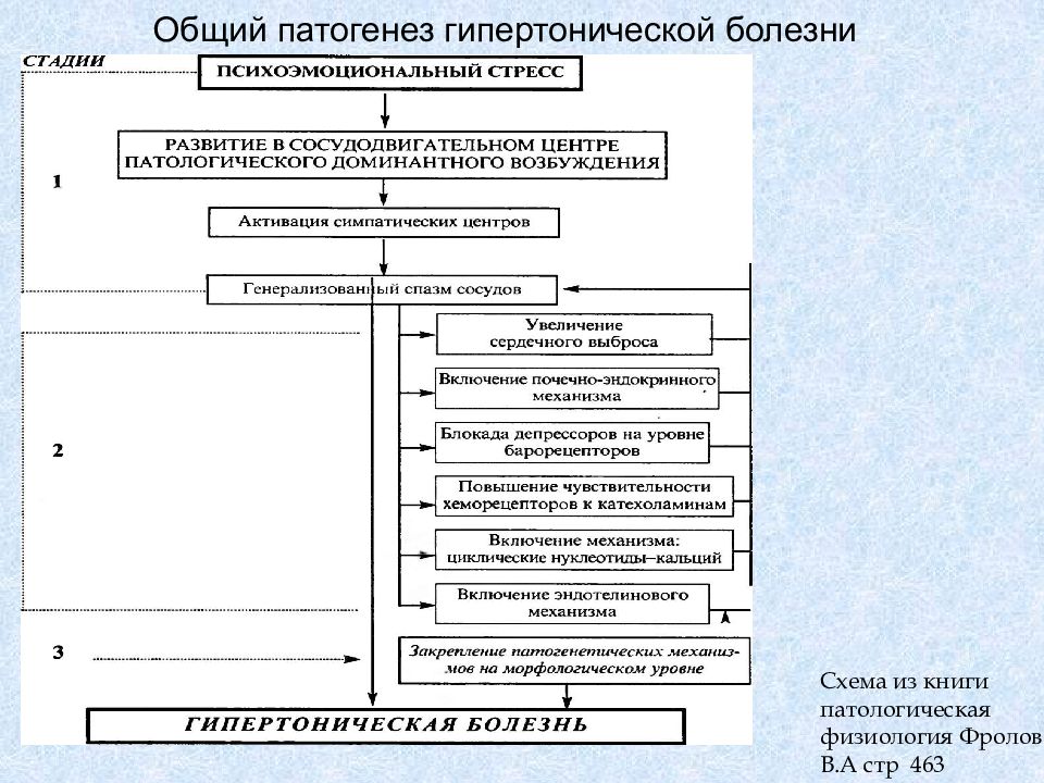 Схему гипертоническая болезнь