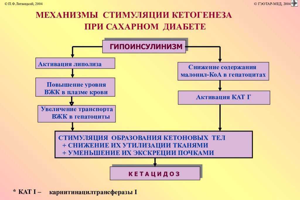 Сахарный обмен. Липолиз при сахарном диабете. Кетогенез при сахарном диабете. Механизм активации кетогенеза при диабете. Механизм нарушения при сахарном диабете.