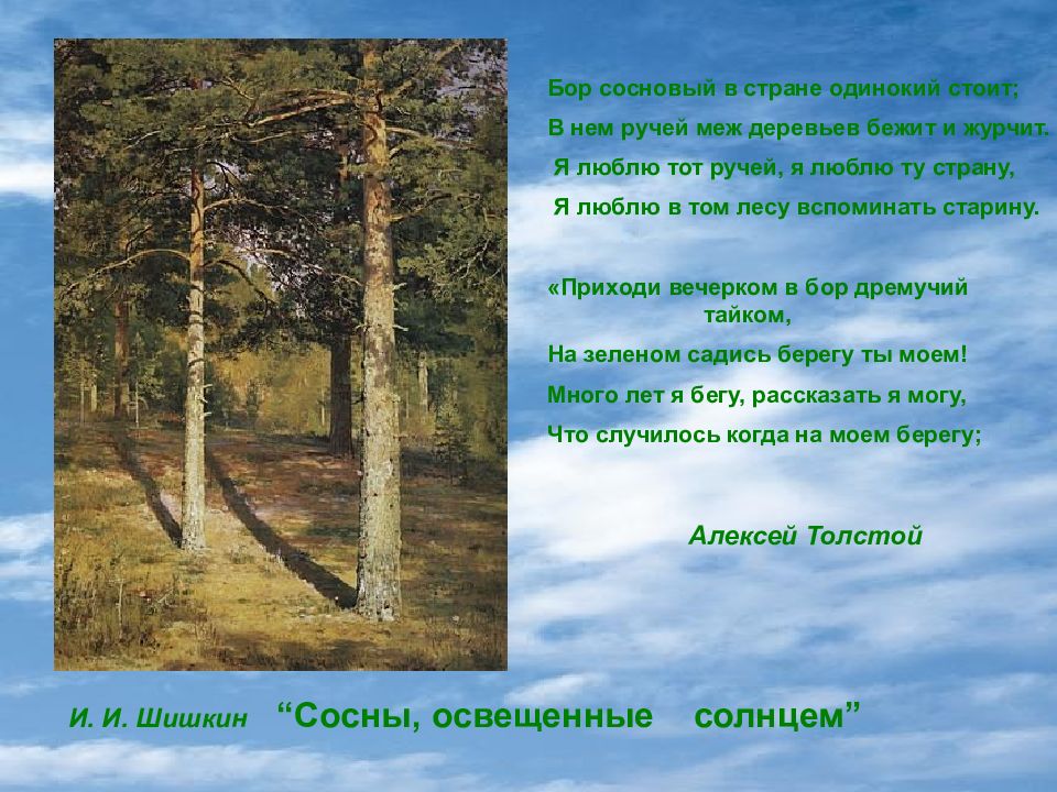 1 в тихо лес журчал ручей. Толстой Бор Сосновый. Алексей толстой Бор Сосновый в стране одинокий стоит. Стихотворение Толстого Бор Сосновый. Стихи про Сосновый лес.