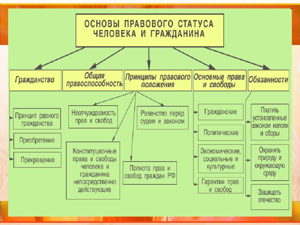 Конституционно правовой статус человека и гражданина в рф план