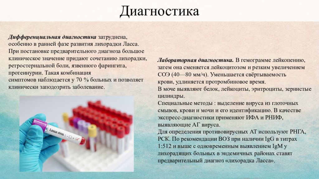 Лихорадка ласса презентация