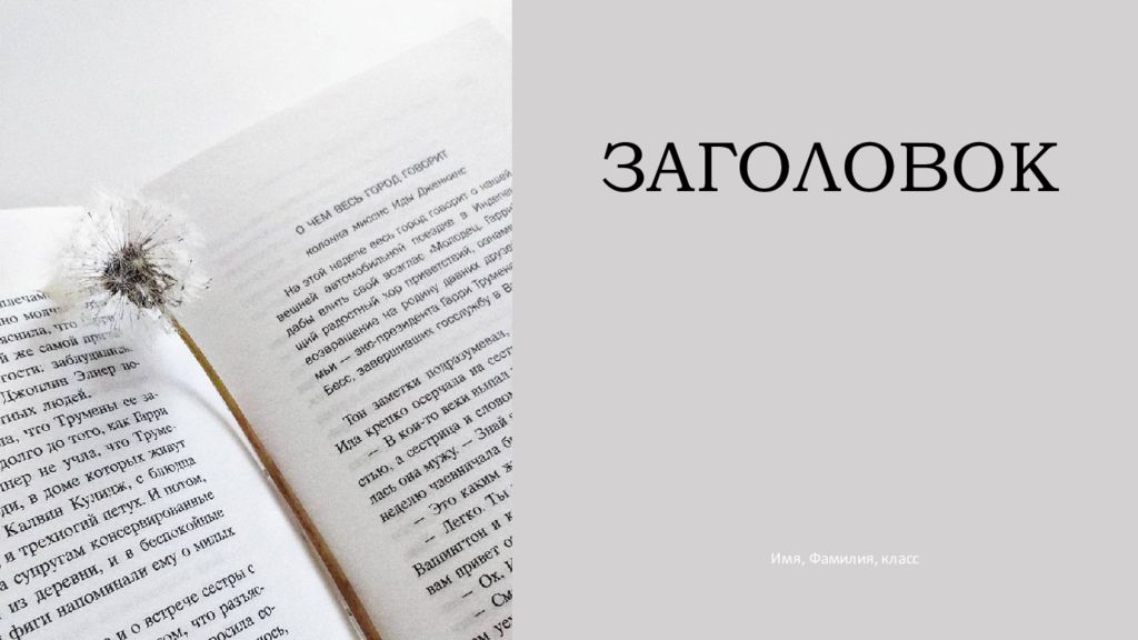 ЗАГОЛОВОК