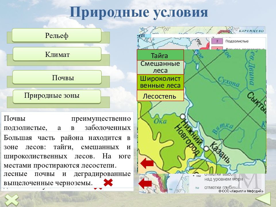 Климат рельеф природные зоны. Природные зоны Волго Вятского района. Природные условия Волго Вятского района. Волго Вятский эконом района природные условия. Почвы Волго Вятского экономического района.