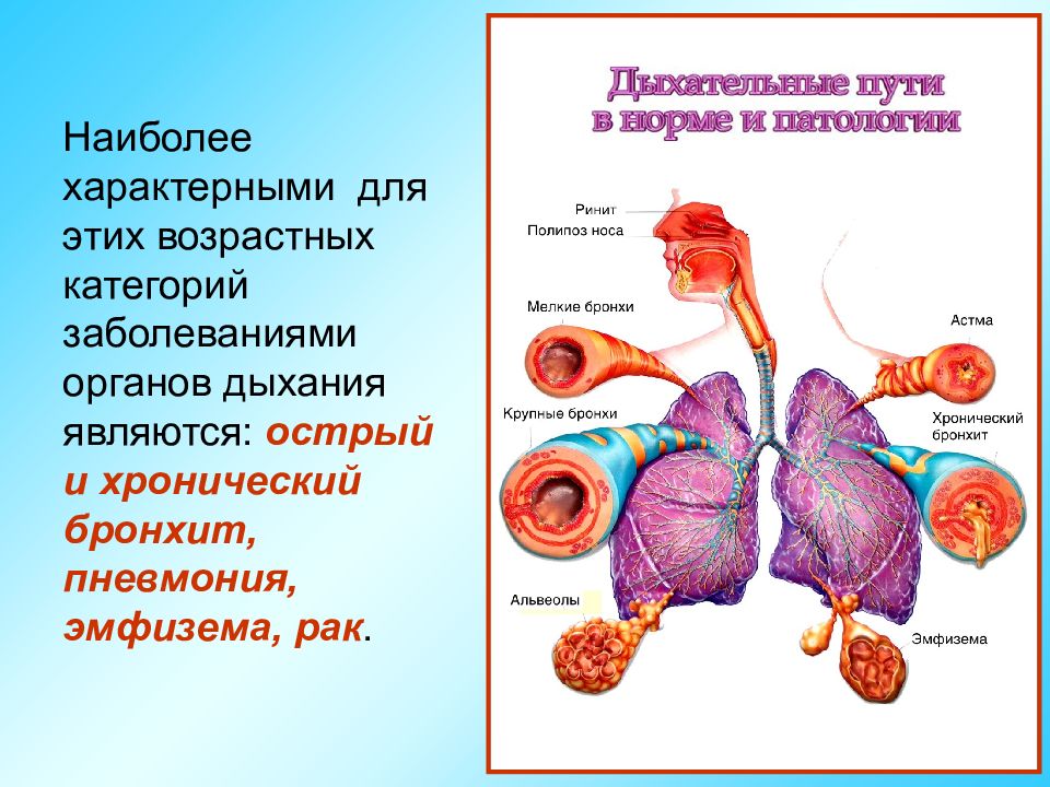 Старение дыхательной системы