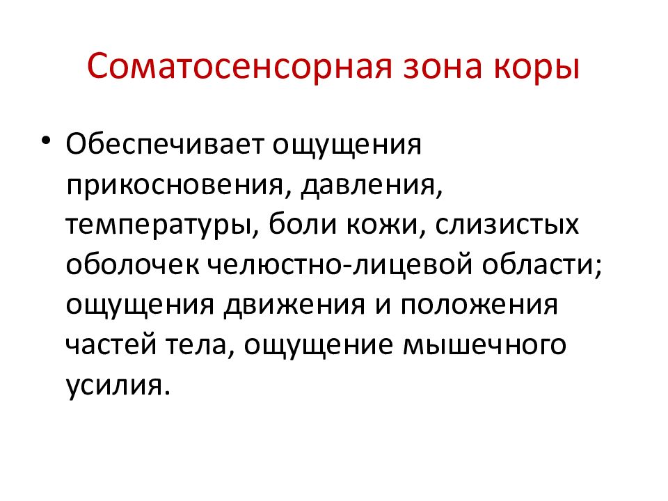 Соматосенсорная температура. Соматосенсорная зона коры. Вторичная Соматосенсорная зона функции.