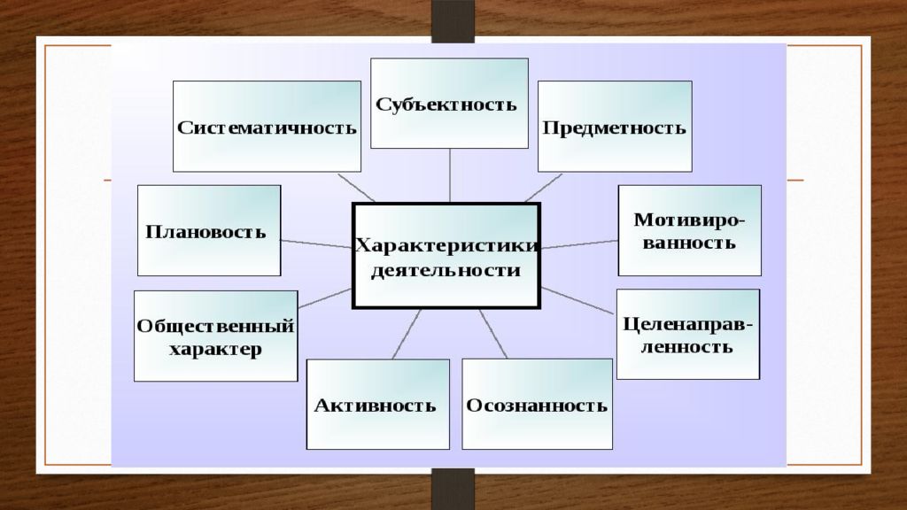 Виды произошли путем