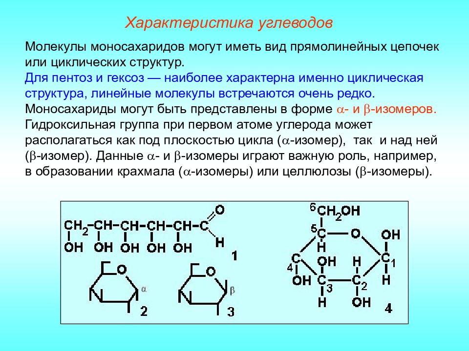 Углеводы химия презентация