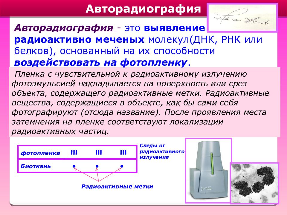 Метод меченых атомов презентация