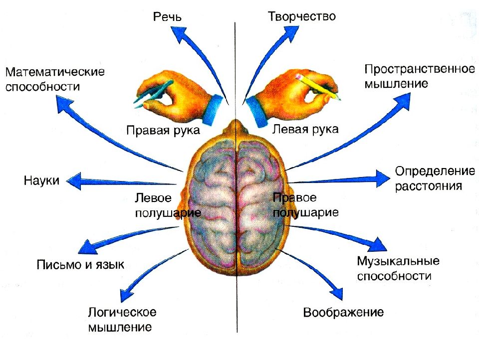 Сигнальная система картинки