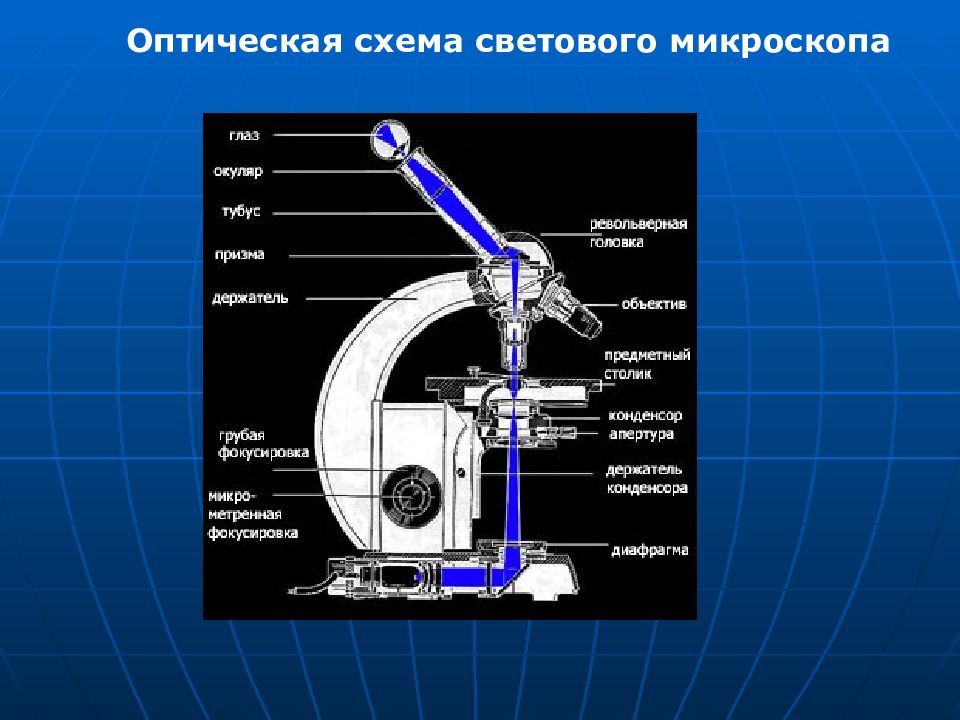 Схема простейшего оптического микроскопа