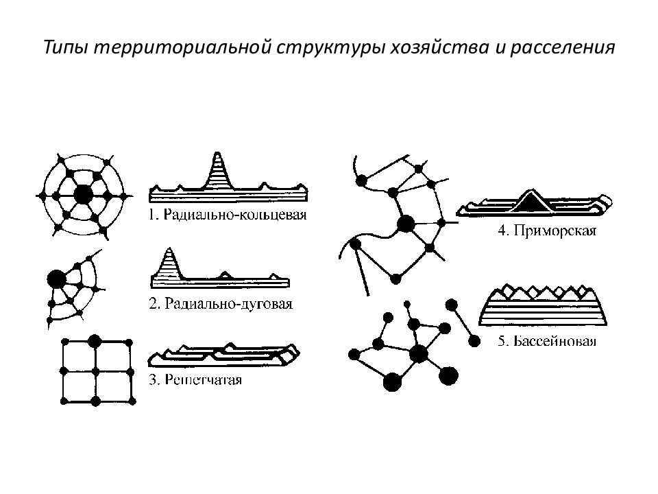 Что такое территориальная структура хозяйства