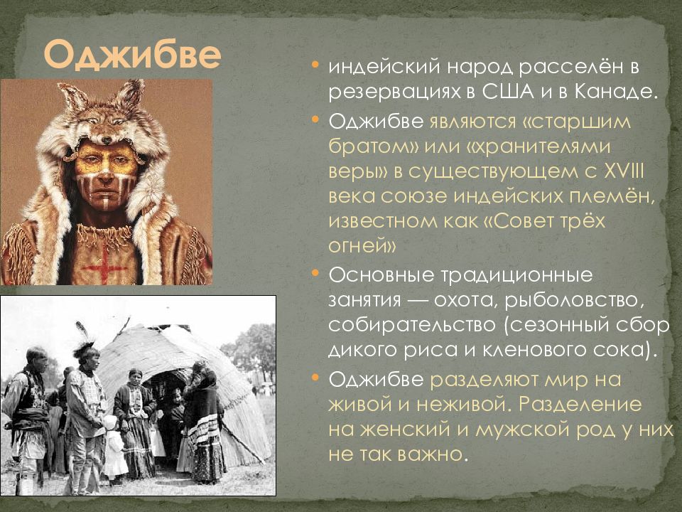 Оджибве индейцы. Оджибве народ. Племя оджибве. Индейские племена США И Канады.