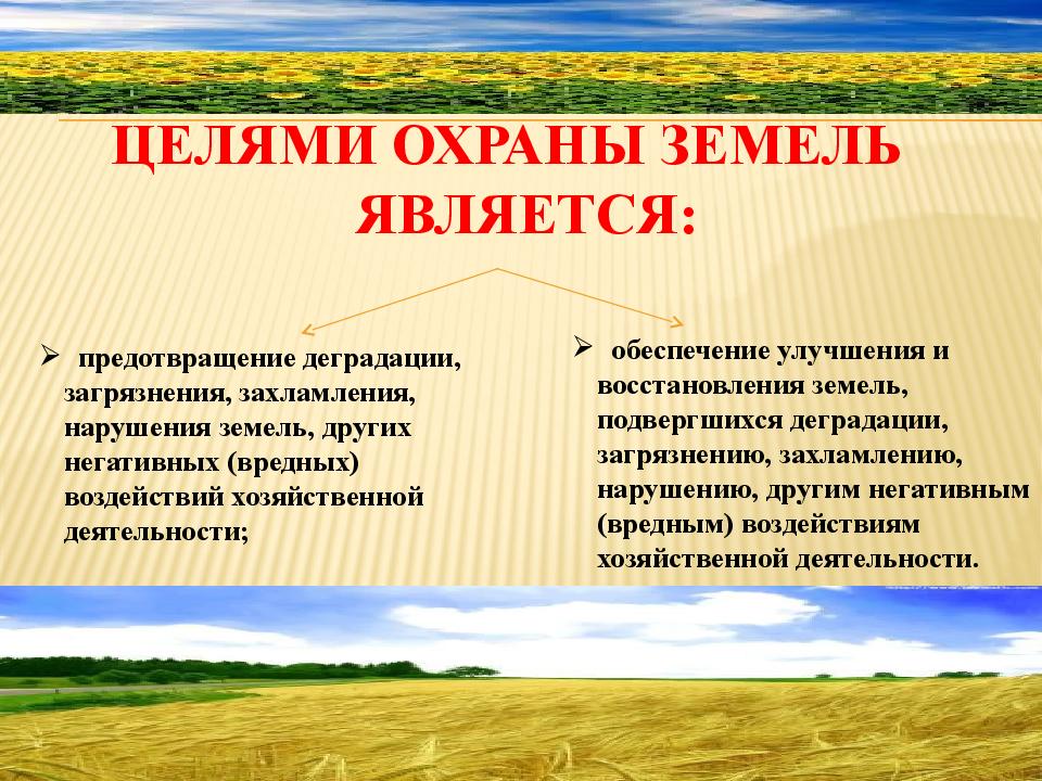 Защита почвы. Охрана земель презентация. Охрана почвы. Охрана почв презентация.