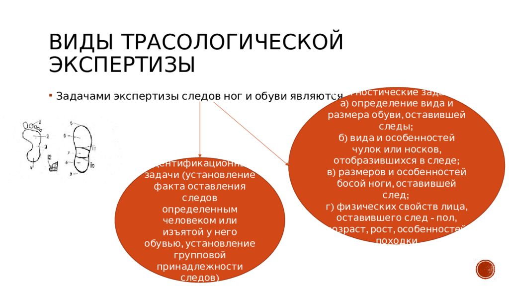 Трасологическая экспертиза. Трасологическая экспертиза виды. Виды трасологических экспертиз. Виды судебно-трасологической экспертизы. Предмет объекты трасологической экспертизы.