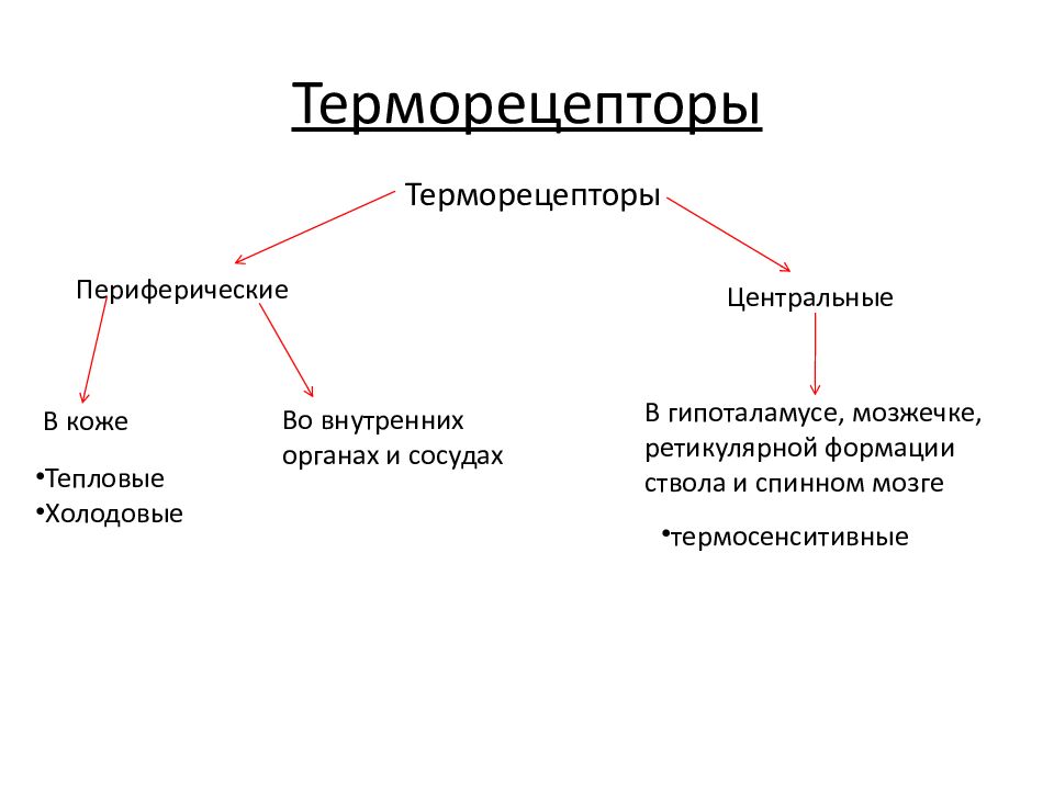 Какие виды рецепторов вам известны