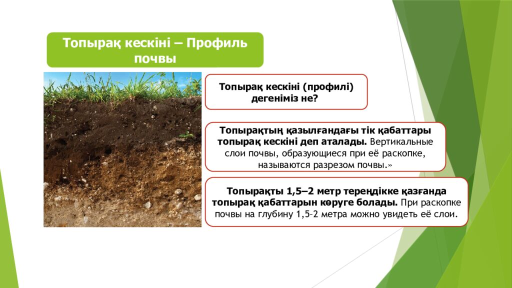 ТОПЫРАҚ ЖӘНЕ ОНЫҢ ҚҰРАМЫ МЕН ҚҰРЫЛЫМЫ