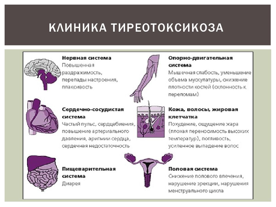 Гипертиреоз это повышенный. Клиническая картина гипертиреоза.