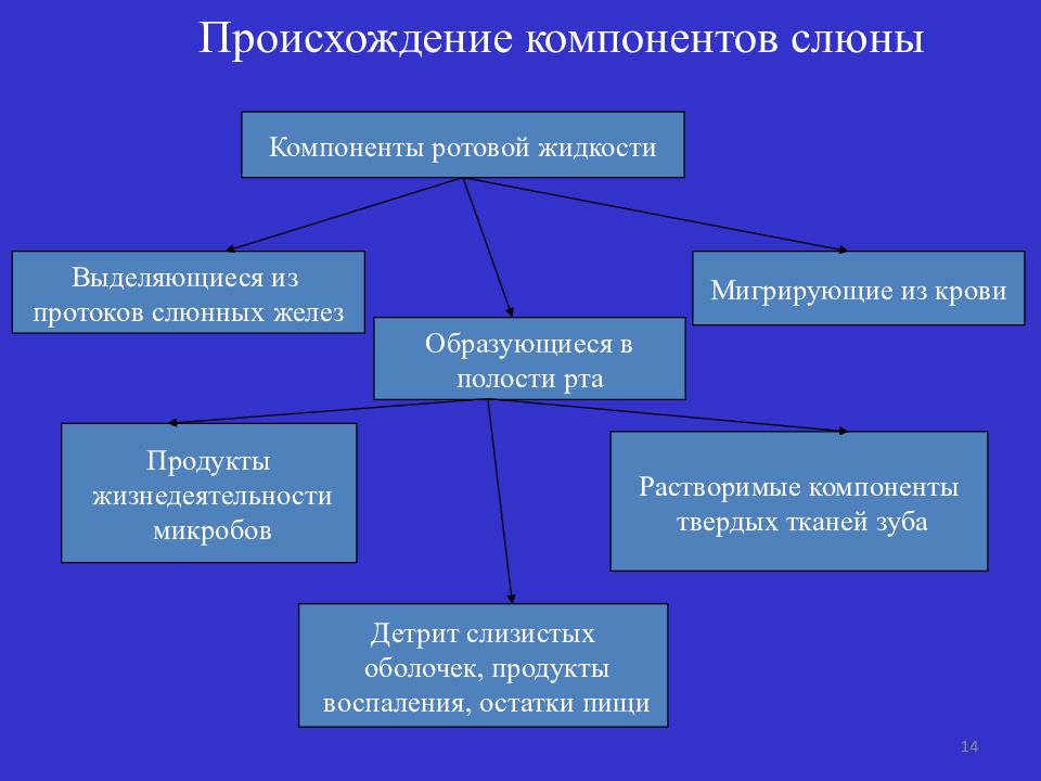 Биохимия слюны презентация