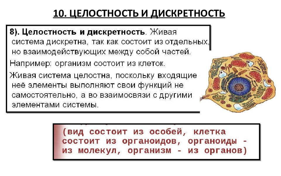 Дискретность это в биологии. Дискретность и целостность какой уровень организации.