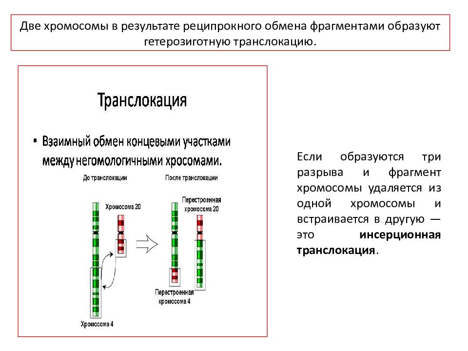 Обмен фрагментами. Принципы и методы генетического картирования. Методы картирования генов. Методы молекулярной генетики физическое и генетическое картирование. Методы картирования хромосом человека.