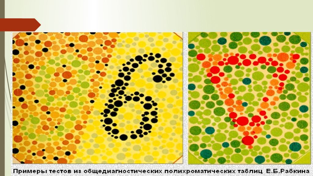 1 Тақырып Көрудің қызметтері мен оларды зерттеу әдістері 1 Тақырып Көрудің қызметтері мен оларды зерттеу әдістері