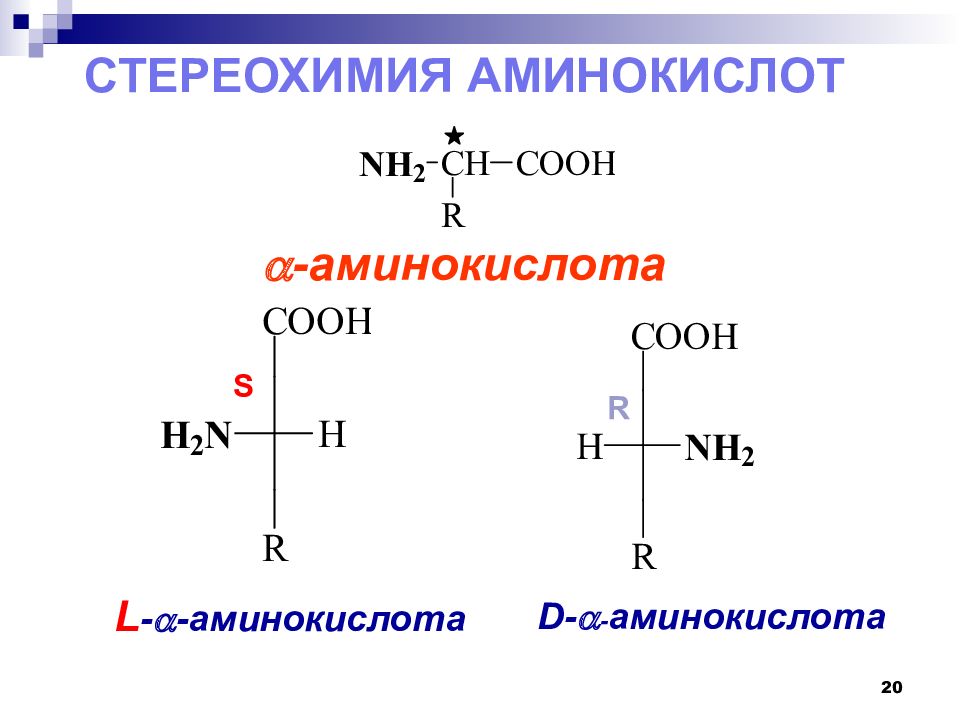 Амины аминокислоты презентация