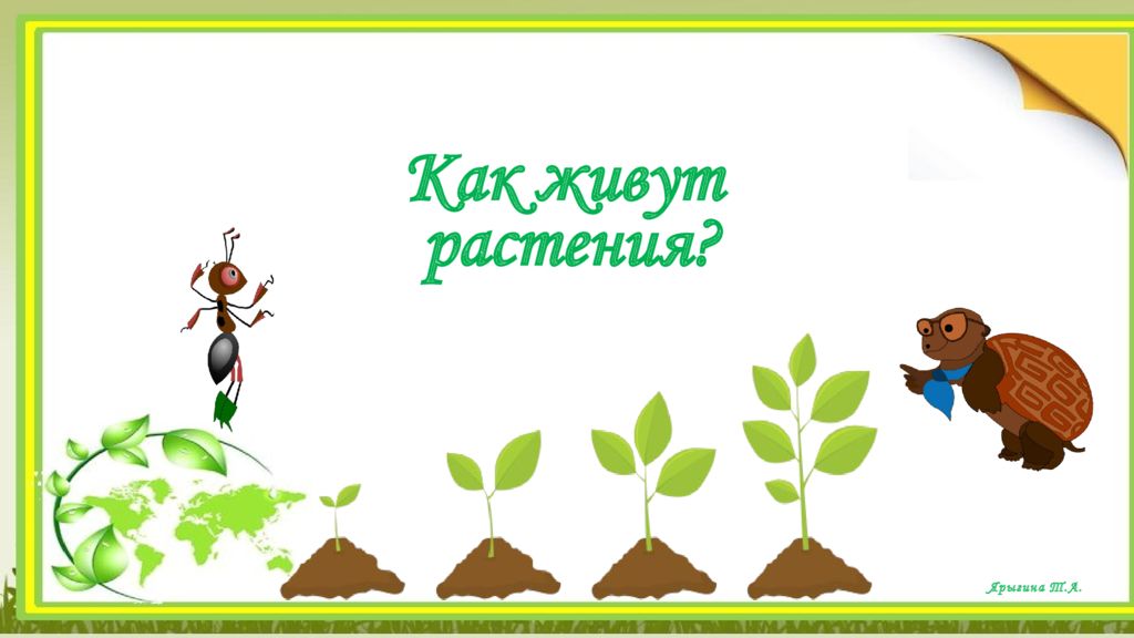 Как живут растения ? Ярыгина Т.А