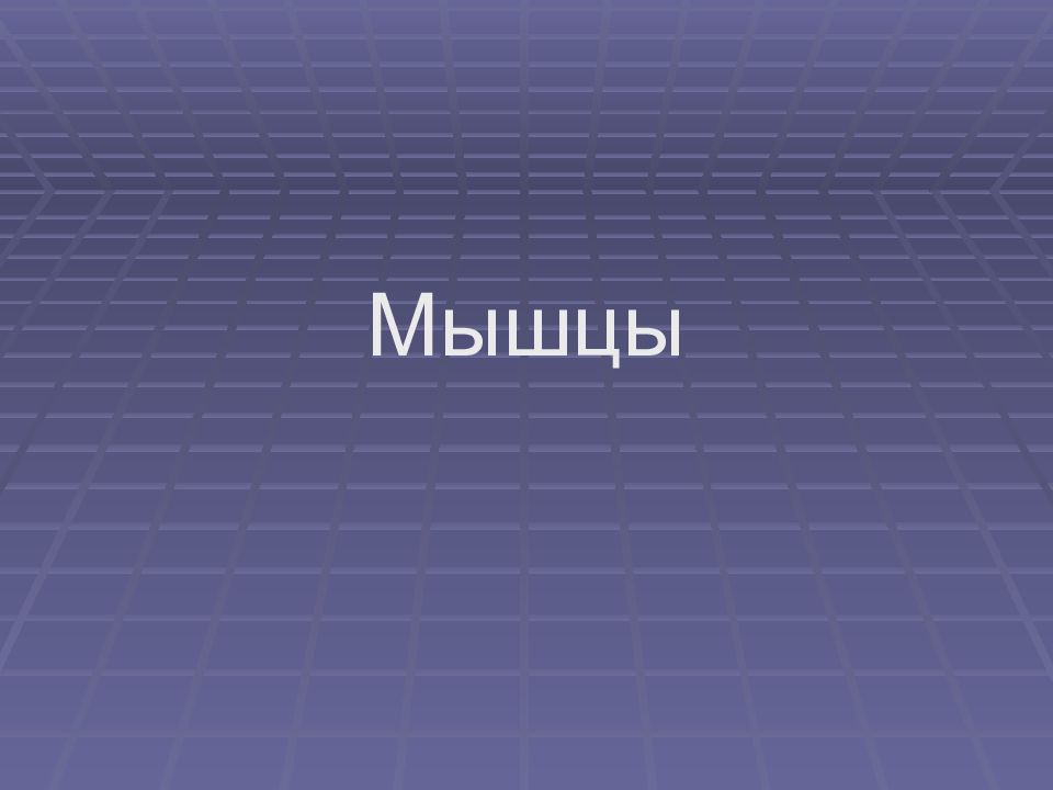 Мышцы
