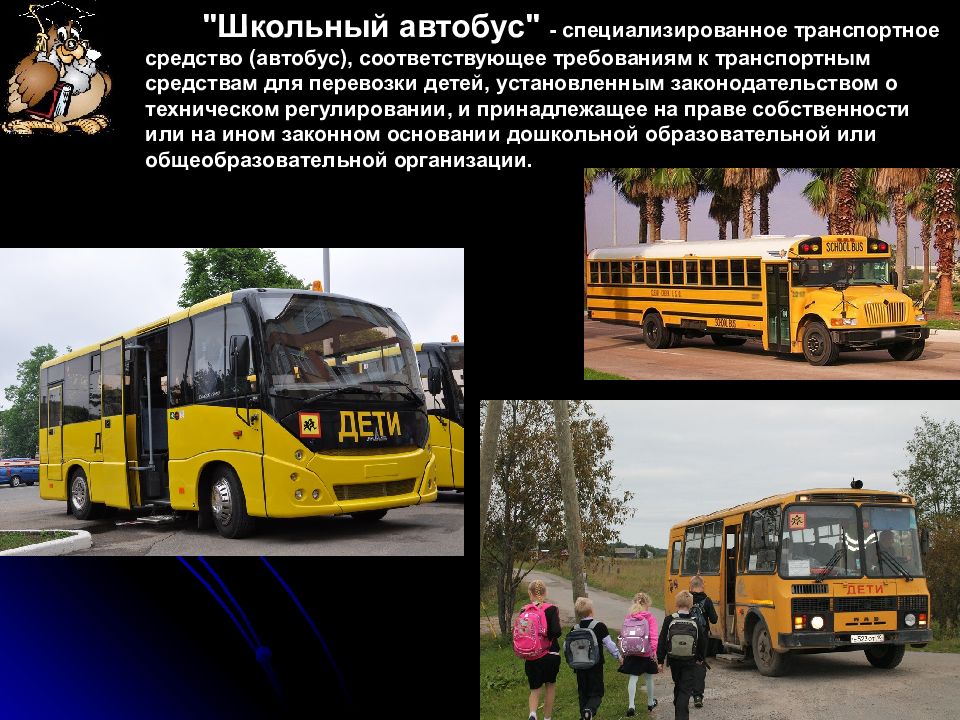 Специализированный автобус для перевозки детей. Специализированные автобусы. Специализированный школьный автобус. Специализированный автобус для перевозки детей чертеж. Категория ТС (автобус для перевозки детей).