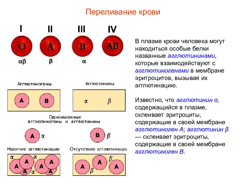 Схема переливания крови по группам и резус фактору