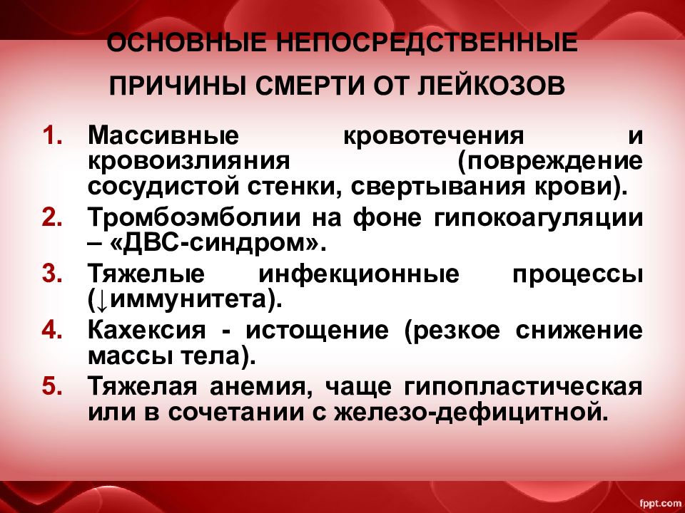 Лейкоз последствия. Кровотечения при остром лейкозе. Кровоизлияния при лейкозе.