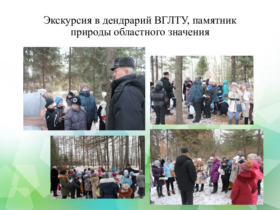 Виртуальная экскурсия для дошкольников презентация в лес