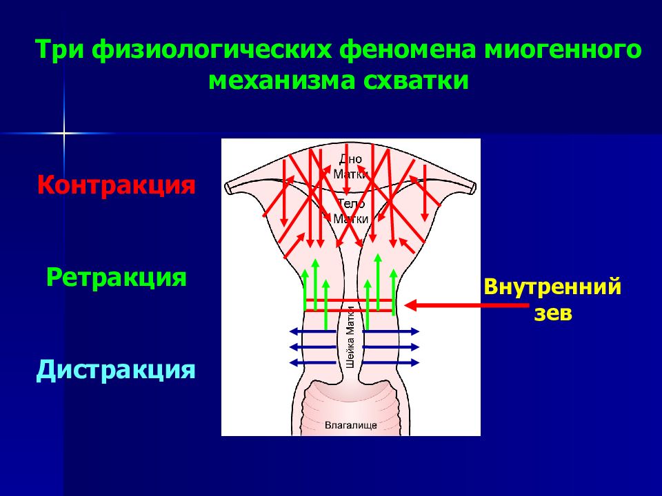 Причины наступления родов презентация