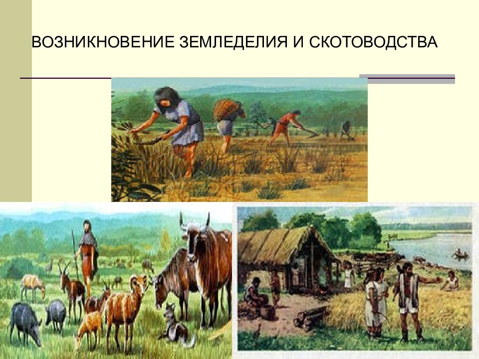 Первый земледельцы появились в. Неолитическая революция 1 скотоводы земледельцы. Земледелие и скотоводство древних людей. Возникновение земледелия и скотоводства. Земледелие и скотоводство в древности.