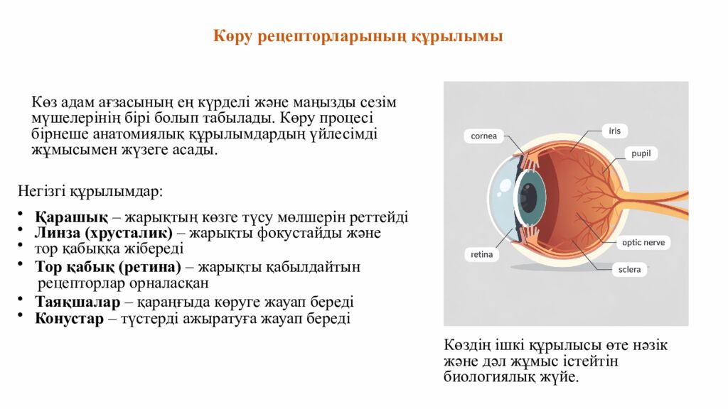 ПСИХОЛОГИЯЛЫ Қ АТМОСФЕРА ОРНАТУ « Кубик» әдісі бойынша жағымды психологиялық