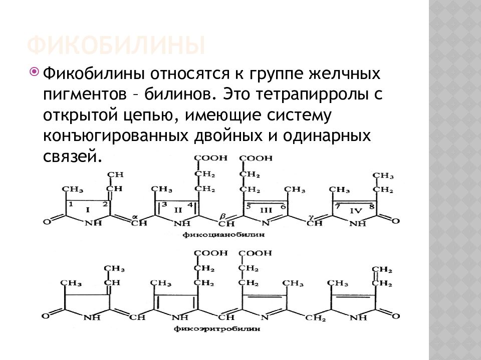 Фотосинтетические Пигменты фикобилины